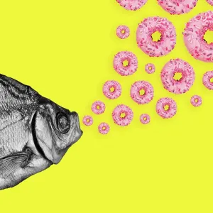 Colored Background Print of Fish and Donuts Collage Colored Background Print of Fish and Donuts Collage