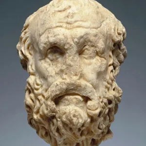 Print of a Portrait Head of Diogenes