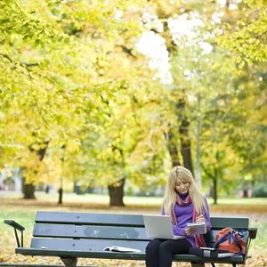 Stockholm Park Bench Print Stockholm Park Bench Print