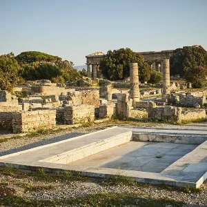 Les ruines anciennes et les structures d'un temple ancien entourées d'arbres. Les ruines anciennes et les structures d'un temple ancien entourées d'arbres.