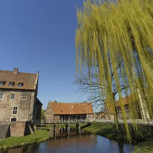 A Castle with Willow and Moat Print, Raesfeld, Germany A Castle with Willow and Moat Print, Raesfeld, Germany