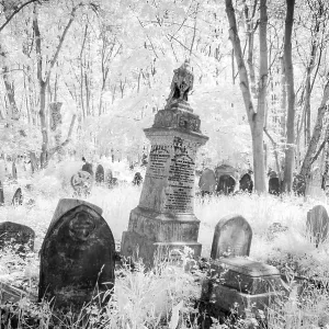 Highgate Cemetery London Black and White Print Highgate Cemetery London Black and White Print