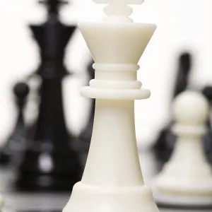 Chess Print on White Studio Background, Novosibirsk, Russia