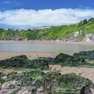 Bantham Beach Cliffs Print, Devon, England Bantham Beach Cliffs Print, Devon, England