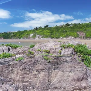 Bantham Beach Cliffs Print, Devon Coastline England Bantham Beach Cliffs Print, Devon Coastline England
