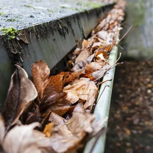 Ein verstopfter Regenwasserablauf ist bis obenhin mit braun gefüllt. Ein verstopfter Regenwasserablauf ist bis obenhin mit braun gefüllt.