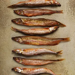 Pescado de capelín ahumado a frío, en la mesa.
