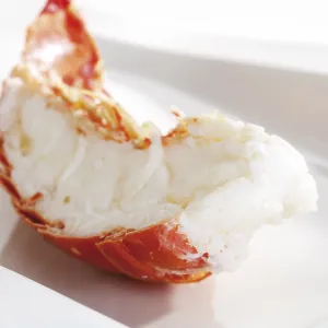 Print of Cooked Half Langouste Print of Cooked Half Langouste