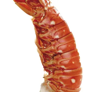 Print of Cooked Langouste Print of Cooked Langouste