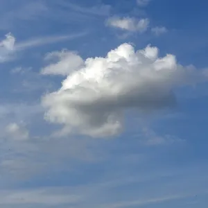 Cumulus Cluster Cloud Print Against Blue Sky Cumulus Cluster Cloud Print Against Blue Sky
