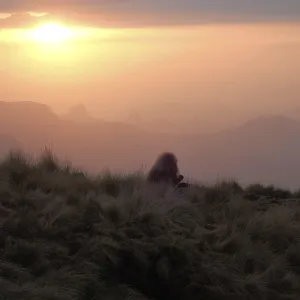 Simien-Nationalpark