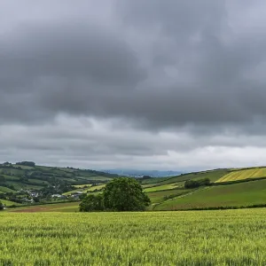 Dramatic Clouds Print over Labrador Bay, Devon, England Dramatic Clouds Print over Labrador Bay, Devon, England