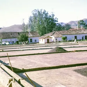 Trocknungs- und Verarbeitungsbetrieb für Kaffee, Fazenda Sant Anna, Campinas, Brasilien, Südamerika 1962, Südamerika