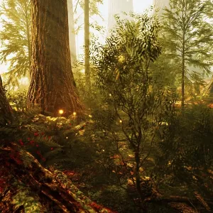 Fantasy Firefly Lights Print in the Magical Forest Fantasy Firefly Lights Print in the Magical Forest