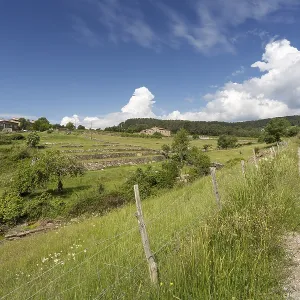 Field Path in Ardeche Spring Print Field Path in Ardeche Spring Print