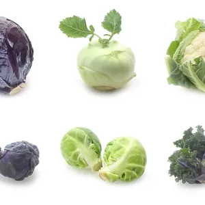 Cabbage Collage Print Isolated on White Cabbage Collage Print Isolated on White