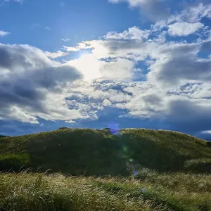 Seahouses Grassy Hills Print Seahouses Grassy Hills Print
