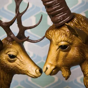 Head of a Deer and Ibex Print: Intimate Animal Encounter