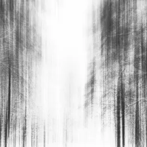 Winter Wonderland Luxury Print Winter Wonderland Luxury Print