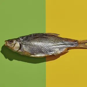 Dried Salted Roach Print