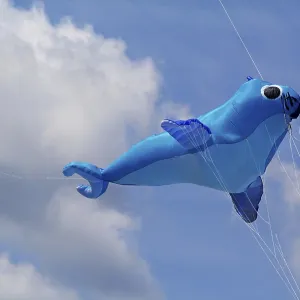 A Kite in the Sky Print A Kite in the Sky Print