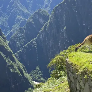 Machu Picchu Print - Inca Ruins Peru Machu Picchu Print - Inca Ruins Peru
