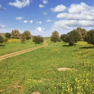 Magnificent Cumulus Clouds Print - Spring Meadow Landscape Magnificent Cumulus Clouds Print - Spring Meadow Landscape