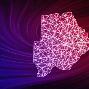 Botswana Polygonal Mesh Line Print Map