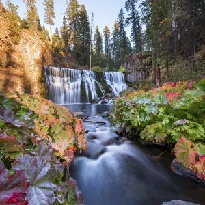 Middle Falls Print, McCloud River Waterfall, California