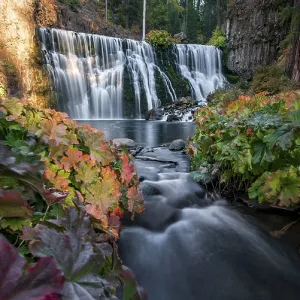 Middle Falls Print, McCloud River Waterfall, California