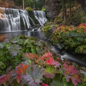 Middle Falls Print, McCloud River Waterfall, California
