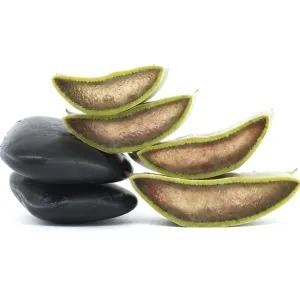 Una composición minimalista con piedras negras lisas y aloe vera fresca picada.