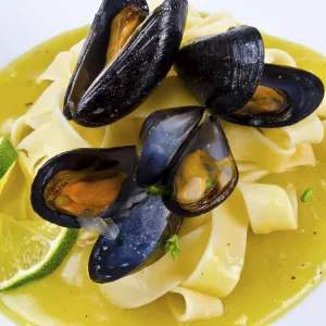 Mussels Print - Freshwater Aquatic Life Mussels Print - Freshwater Aquatic Life