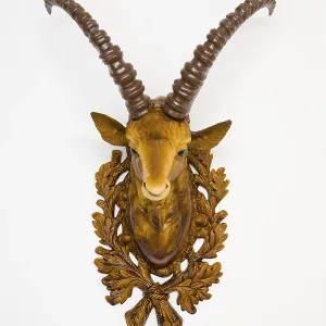 Print of Ibex Head in Frontal View