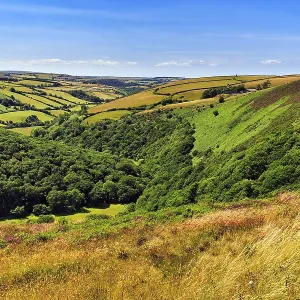 Exmoor National Park Landscape Print, Devon, England Exmoor National Park Landscape Print, Devon, England