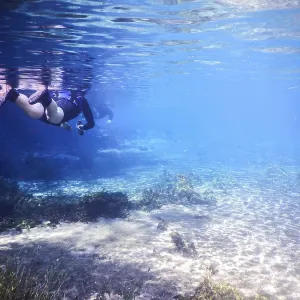 Practicing Diving in Bonito, Brazil Print Practicing Diving in Bonito, Brazil Print