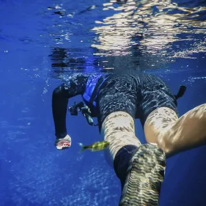 Practicing Diving and Snorkeling in Bonito, Brazil Print Practicing Diving and Snorkeling in Bonito, Brazil Print