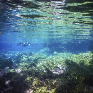 Practicing Diving and Snorkeling in Bonito, Brazil Print Practicing Diving and Snorkeling in Bonito, Brazil Print