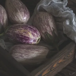 Vintage Print of Purple Graffiti Eggplants in Rustic Setting