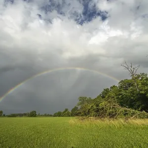 Rainbow Over Storm-Damaged Countryside Print Rainbow Over Storm-Damaged Countryside Print