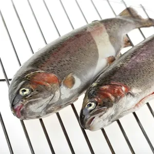 Two Rainbow Trout on the Grill Print Two Rainbow Trout on the Grill Print