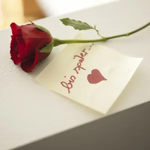 Rosas rojas con la nota bis spater. Rosas rojas con la nota bis spater.