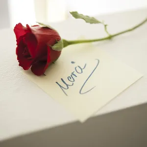 Rosas rojas con una nota Merci. Rosas rojas con una nota Merci.