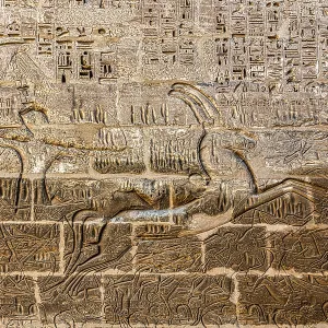Print of Relief from Medinet Habu, Luxor, Egypt Print of Relief from Medinet Habu, Luxor, Egypt