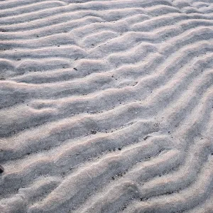 Westerhever Ripple Pattern in Mudflats Print, Germany Westerhever Ripple Pattern in Mudflats Print, Germany