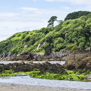 Mothecombe Beach Rocks and Cliffs Print, South Devon, England Mothecombe Beach Rocks and Cliffs Print, South Devon, England