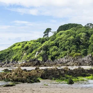 Rocks and Cliffs on Mothecombe Beach Print, South Devon, England Rocks and Cliffs on Mothecombe Beach Print, South Devon, England