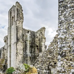 Ruins of Corfe Castle Print, Dorset, England