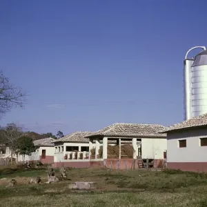 Siloscheuer Ställe für Kälber weiden, Fazenda Sant Anna, Campinas, Brasilien, Südamerika 1962