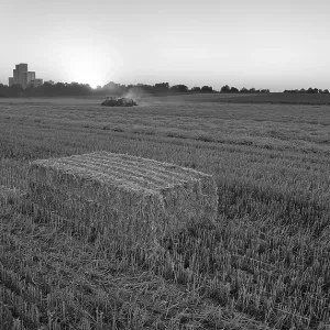 Stubble Processing Print - Stuttgart, Germany